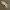https://res.cloudinary.com/billionhands/image/upload/v1777860594/items/ht6gshzlmpvraem9slqi.jpg-1cover