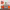 https://res.cloudinary.com/billionhands/image/upload/v1777864393/items/j1qqxpgnzw0jvtjxhmay.png-2cover