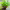 https://res.cloudinary.com/billionhands/image/upload/v1777867143/items/lpk02qhnbqsapyqccgyv.jpg-3cover
