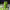 https://res.cloudinary.com/billionhands/image/upload/v1777867149/items/czicumxotl2o7i7fylmc.jpg-2cover