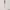 FENTY BEAUTY by Rihanna Full-Bodied Foundation Brush 110 cover