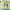 https://res.cloudinary.com/billionhands/image/upload/v1777870807/items/g4pgluis1iojk25akka4.jpg-2cover