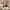 https://res.cloudinary.com/billionhands/image/upload/v1777871759/items/tm6iqnvkpuokdou5prtx.webp-1cover