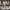 https://res.cloudinary.com/billionhands/image/upload/v1777871925/items/lwysgzp0dbg2rplndfza.jpg-3cover