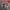 https://res.cloudinary.com/billionhands/image/upload/v1777873467/items/ki8bzle0cyaa2npd2jgc.webp-2cover