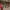 https://res.cloudinary.com/billionhands/image/upload/v1777876261/items/nfglglppymtsifbo5j6o.webp-0cover