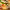 Tropical Mai Tai with Fruit Garnishes cover