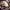https://res.cloudinary.com/billionhands/image/upload/v1777885686/items/p7h7dvpxhap3cercynrg.jpg-2cover