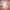 https://res.cloudinary.com/billionhands/image/upload/v1777886584/items/t8t9k0fvlpgjx7zrz7om.jpg-2cover
