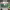 https://res.cloudinary.com/billionhands/image/upload/v1777888076/items/efvulmq92c6o4dilvo4j.webp-1cover