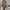 https://res.cloudinary.com/billionhands/image/upload/v1777889118/items/o8sycxehuzdblef3sphx.webp-3cover