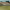 https://res.cloudinary.com/billionhands/image/upload/v1777889457/items/lwovmt1p5q9bfgbun6nu.webp-0cover