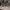 https://res.cloudinary.com/billionhands/image/upload/v1777890831/items/eljm4ltunbbhl8p0xajn.jpg-2cover