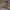 https://res.cloudinary.com/billionhands/image/upload/v1777891117/items/vfuls4txfpuinvcpaadq.webp-3cover