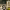 https://res.cloudinary.com/billionhands/image/upload/v1777891126/items/pvtaigccqltiqsmejknt.jpg-2cover