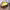 https://res.cloudinary.com/billionhands/image/upload/v1777891668/items/brbejdi7dvihrdvnku5h.jpg-3cover