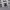 https://res.cloudinary.com/billionhands/image/upload/v1777891672/items/xuvbjhxxe6aq96miqm01.jpg-0cover