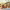 https://res.cloudinary.com/billionhands/image/upload/v1777892836/items/ckothqltvdjl5brsurmp.webp-2cover