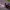 https://res.cloudinary.com/billionhands/image/upload/v1777898183/items/iv8ujihve30c2ae5a4va.png-1cover