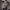 https://res.cloudinary.com/billionhands/image/upload/v1777901437/items/lbxsgo5wpsndgzzdwkvq.avif-2cover