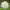 https://res.cloudinary.com/billionhands/image/upload/v1777902958/items/lqbjpgdslscnrukl67sk.jpg-0cover