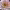 https://res.cloudinary.com/billionhands/image/upload/v1777902962/items/esp5psll7fkyluswszem.webp-2cover
