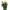 https://res.cloudinary.com/billionhands/image/upload/v1777902962/items/ver8nvwmowww26tt8cro.webp-0cover