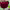 https://res.cloudinary.com/billionhands/image/upload/v1777902964/items/ikshc2wz44sd6woguycq.jpg-2cover