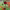 https://res.cloudinary.com/billionhands/image/upload/v1777902969/items/m4nxwexs2ltyreqwfgxo.webp-3cover