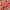 https://res.cloudinary.com/billionhands/image/upload/v1777902981/items/qte5ogmjs8gnyl80dysq.webp-0cover