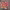 https://res.cloudinary.com/billionhands/image/upload/v1777902982/items/syvfgmvcjyyrnn6lmwja.webp-2cover