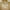 https://res.cloudinary.com/billionhands/image/upload/v1777906951/items/ncoyexabhwb2nbrhaoln.png-3cover