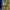 https://res.cloudinary.com/billionhands/image/upload/v1777907817/items/f8nu9insvyxhqwmvykcf.jpg-3cover