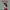 https://res.cloudinary.com/billionhands/image/upload/v1777909842/items/nacwyffjcc3x6mz64alt.webp-0cover