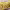 https://res.cloudinary.com/billionhands/image/upload/v1777910092/items/yszbsmwrl5e10kwmvhgl.jpg-0cover