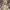 https://res.cloudinary.com/billionhands/image/upload/v1777910977/items/jp0vmavqvq2dqtznu3ka.jpg-3cover