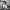 Cinematic Montage (Eisenstein) cover