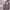 https://res.cloudinary.com/billionhands/image/upload/v1777915174/items/an8zexffrem64rbokxfm.jpg-0cover