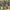 https://res.cloudinary.com/billionhands/image/upload/v1777918527/items/rhlzsv1bui4csz3bot8x.jpg-2cover