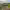 https://res.cloudinary.com/billionhands/image/upload/v1777919705/items/zrib5cvtalnlwgmi36mg.jpg-0cover