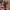 https://res.cloudinary.com/billionhands/image/upload/v1777920608/items/u22waqjvkogdmoehfqde.png-1cover