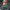 https://res.cloudinary.com/billionhands/image/upload/v1777923128/items/qjnvspunpze3lhth0a5s.webp-3cover