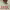 https://res.cloudinary.com/billionhands/image/upload/v1777924646/items/emgln99vyrhuub2vf6a1.jpg-1cover