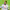 https://res.cloudinary.com/billionhands/image/upload/v1777924652/items/qcbaosjrvjjah4qcgfiu.jpg-1cover