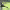 https://res.cloudinary.com/billionhands/image/upload/v1777924656/items/wcxkkoe97celtorjouac.jpg-3cover