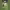 Luis Diaz (Liverpool) - Dribbling and Finish (2025/26 Premier League) cover