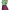 https://res.cloudinary.com/billionhands/image/upload/v1777924778/items/rmzq6vqeebkc5yvlttoe.webp-0cover
