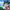 https://res.cloudinary.com/billionhands/image/upload/v1777924780/items/nseouqdn0mlqvcxgmhdz.png-2cover