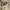 https://res.cloudinary.com/billionhands/image/upload/v1777927017/items/xlqz0f39w6fqzjkxbkhn.webp-3cover