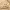 https://res.cloudinary.com/billionhands/image/upload/v1777927018/items/r1q45s9eu6hkvmwl0xaj.jpg-3cover